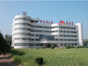 熱烈祝賀“山東公路機械廠(chǎng)”改制成功暨新公司名稱(chēng)“山東公路機械廠(chǎng)有限公司”正式啟用！